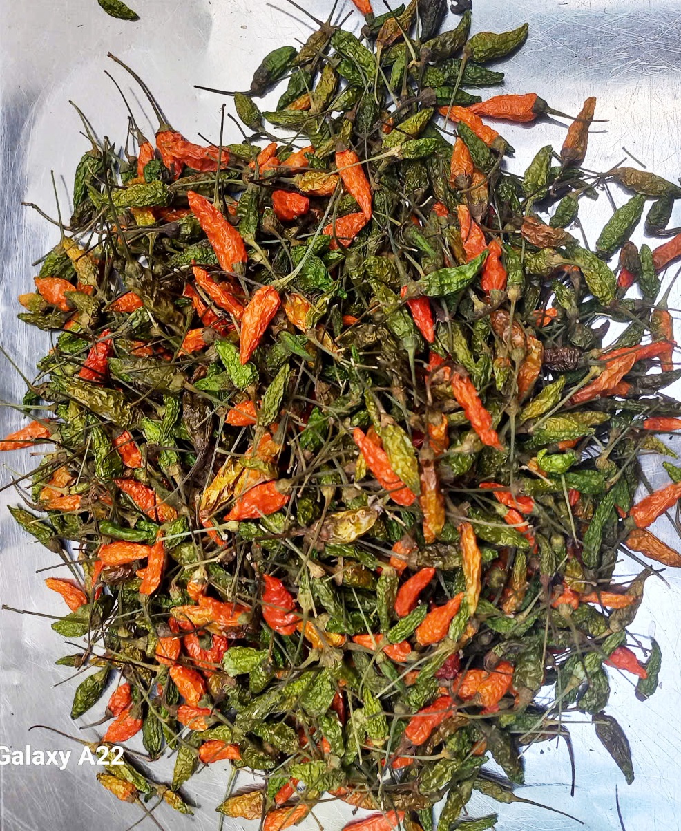 Ớt Xiêm Xanh Khô